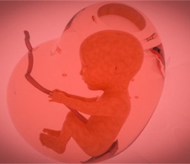 给婴幼儿南昌捐卵宝宝添加辅食应避免“四大罪过”