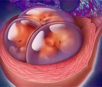 3岁南昌捐卵宝宝营养不良的标准 孩子营养问题关乎千万人的心